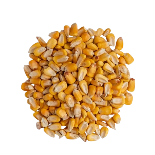 Agrisphere%20harvest
